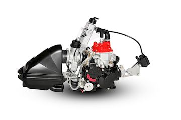 ROTAX 125 MINI MAX CPL-MY20